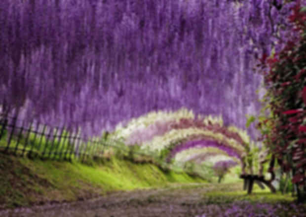Japan- know the facts and the festivities