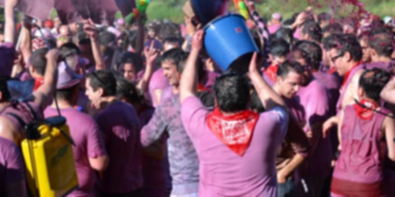 batalla-del-vino-haro