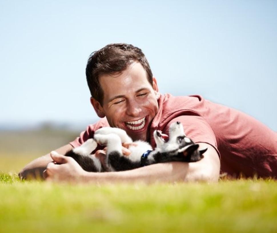 Unlawful to make funny faces at dog, USA