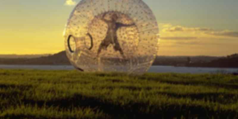 Image Credit: Herold