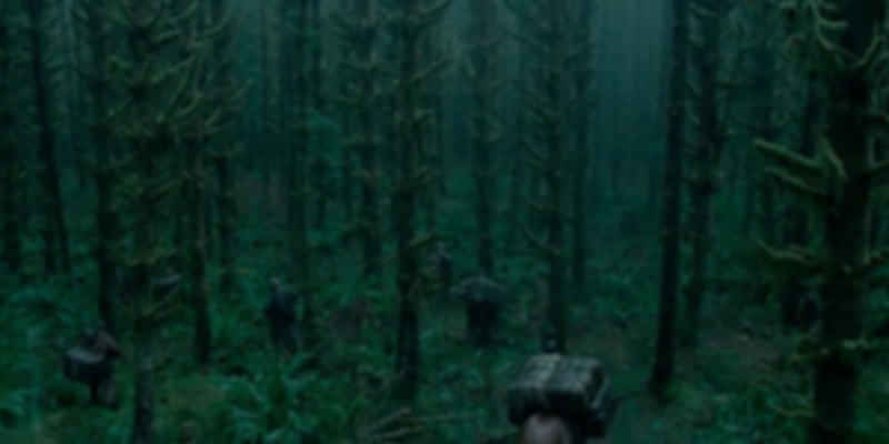 24007904032_aed08329bb_b