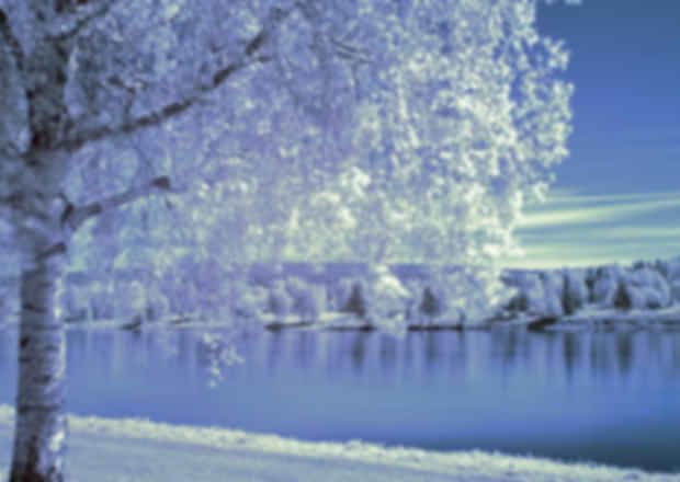 Winter in Finland: Complete Travel Guide