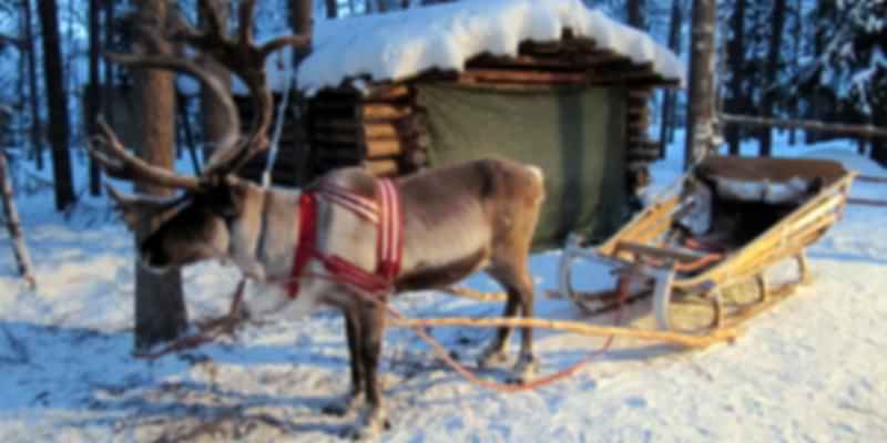 reindeer-sleigh