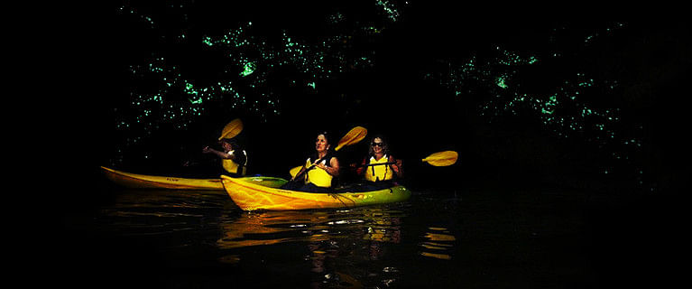 New Zealand glow worm caves