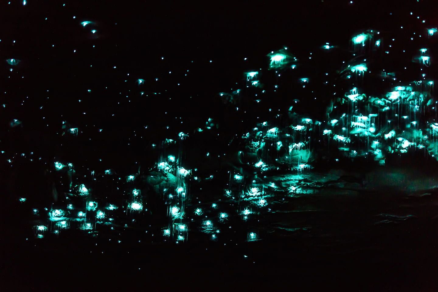 New Zealand glow worm caves