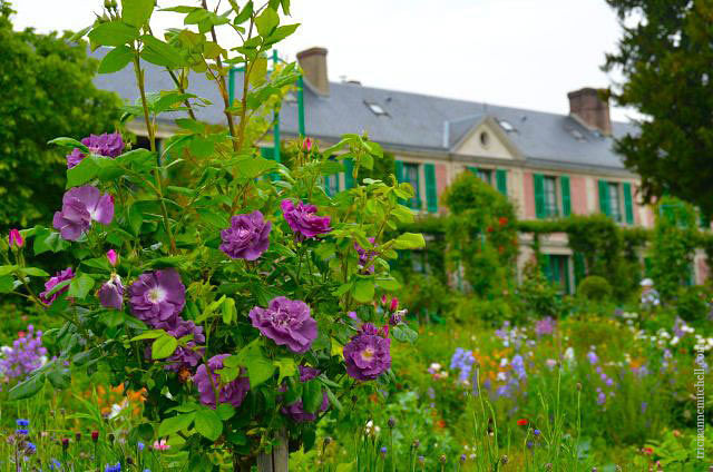 Giverny 