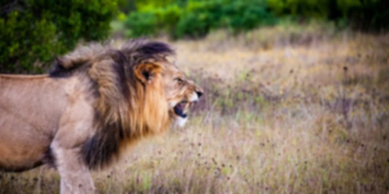 south-africa,where to go in March