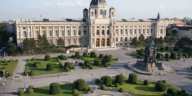 Vienna Museum of Fine Arts