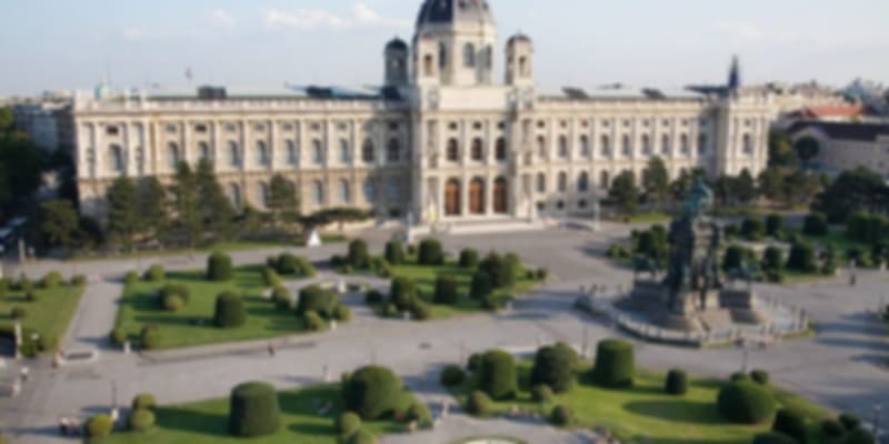 Vienna Museum of Fine Arts