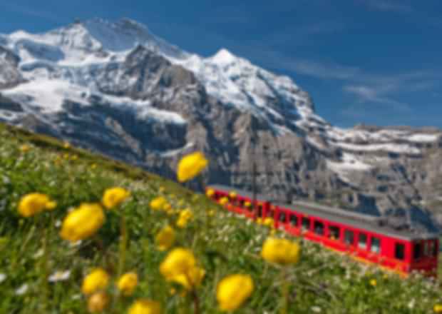 Top 6 Free Things to Do with a Swiss Pass – Discover Switzerland