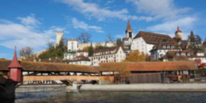 spreuer-bridge