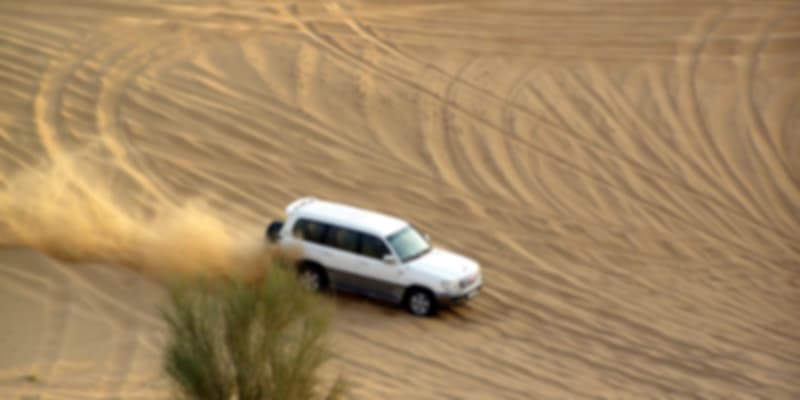 Dubai Desert Safari