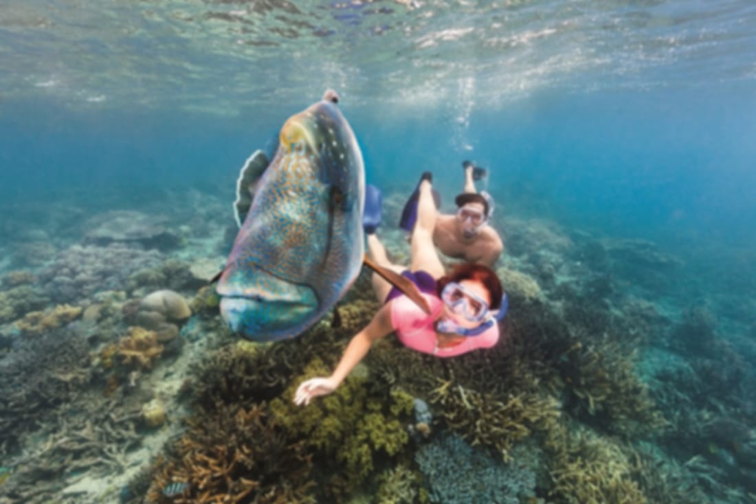Unforgettable Queensland Experiences: Must-Try at Least Once