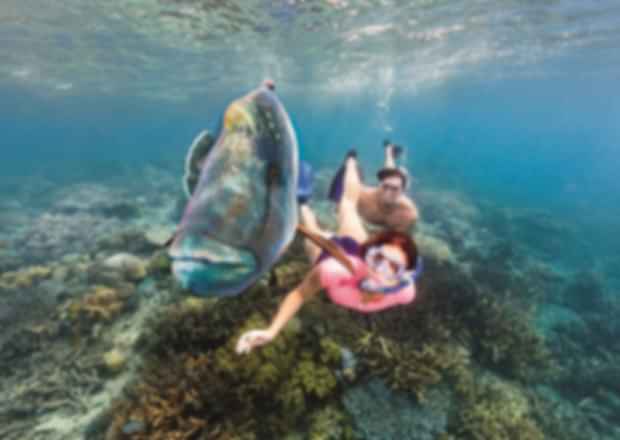 Unforgettable Queensland Experiences: Must-Try at Least Once