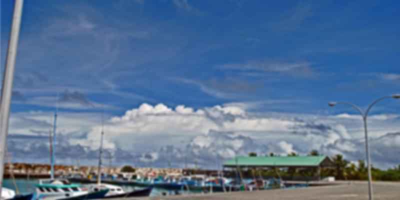 Aruffanno, the traditional harbour