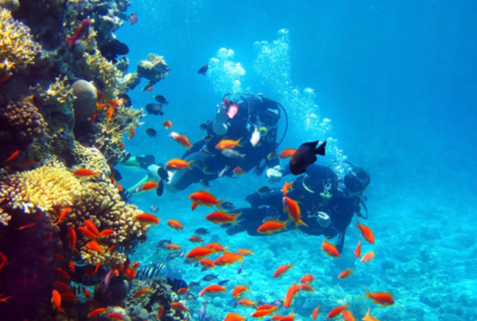 Scuba Diving in Thessaloniki: An enthralling experience!