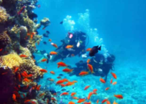 Scuba Diving in Thessaloniki: An enthralling experience!