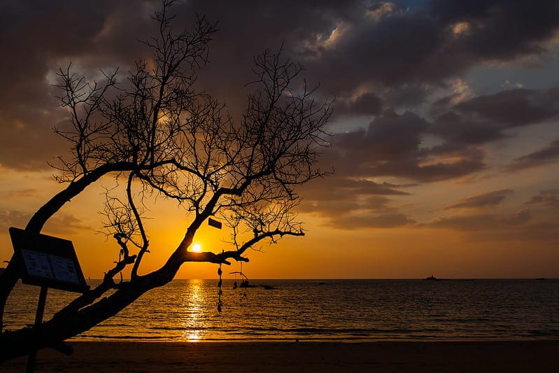 Nightlife in Andaman — Coolest things to do in Andaman at night