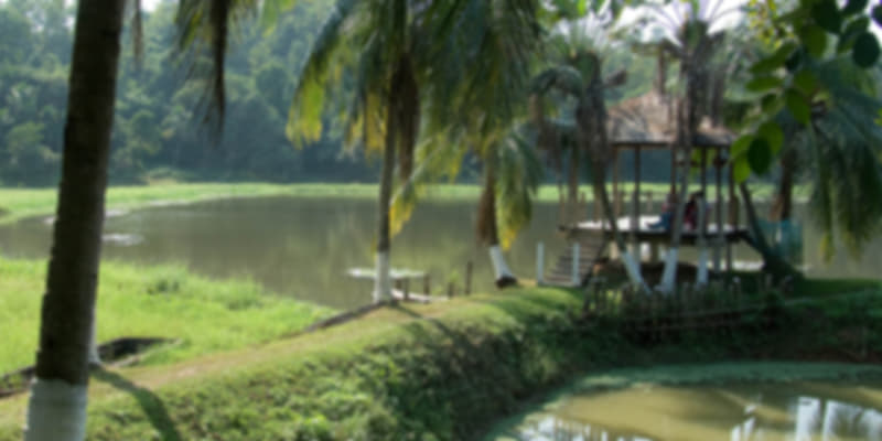 Sualkuchi – Witness the local culture