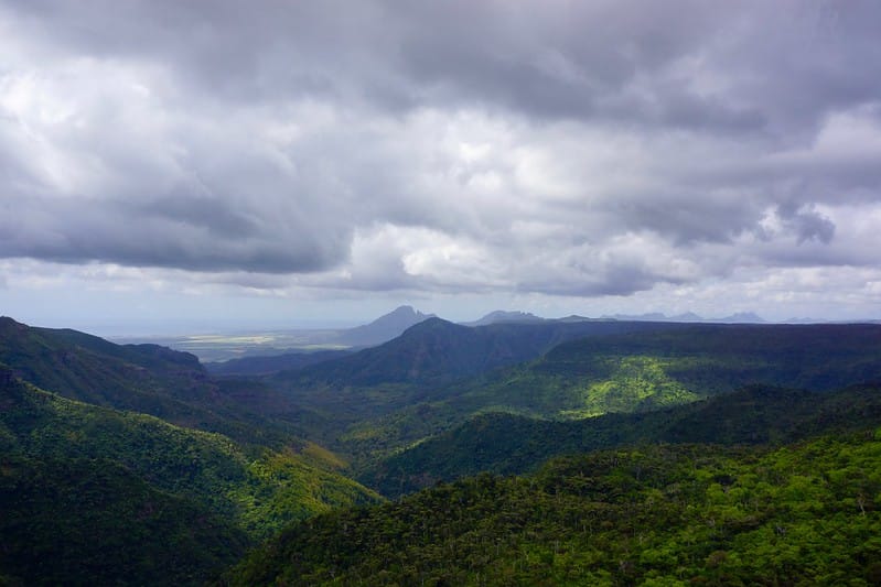 Black River Gorges National Park Must-Dos: Discover the Beauty of Mauritius