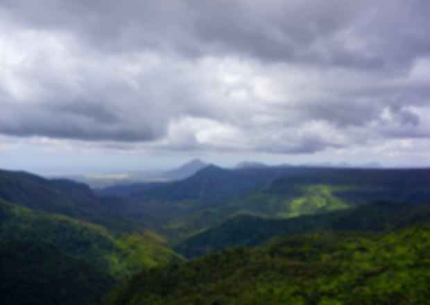 Black River Gorges National Park Must-Dos: Discover the Beauty of Mauritius