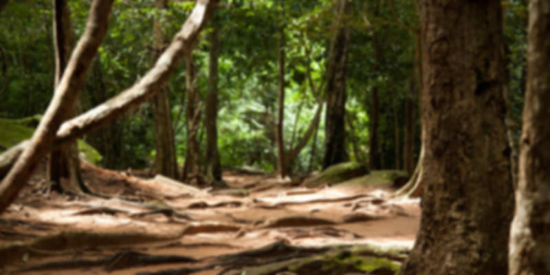 Trekking in Virachey National Park