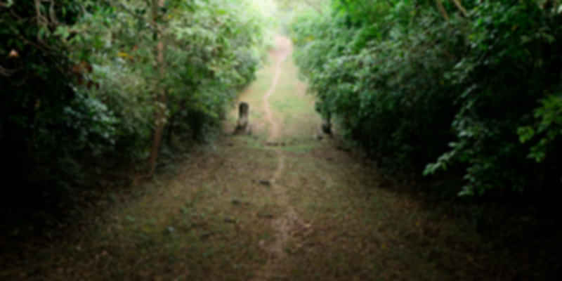 Trekking in Virachey National Park