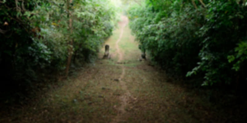 Trekking in Virachey National Park