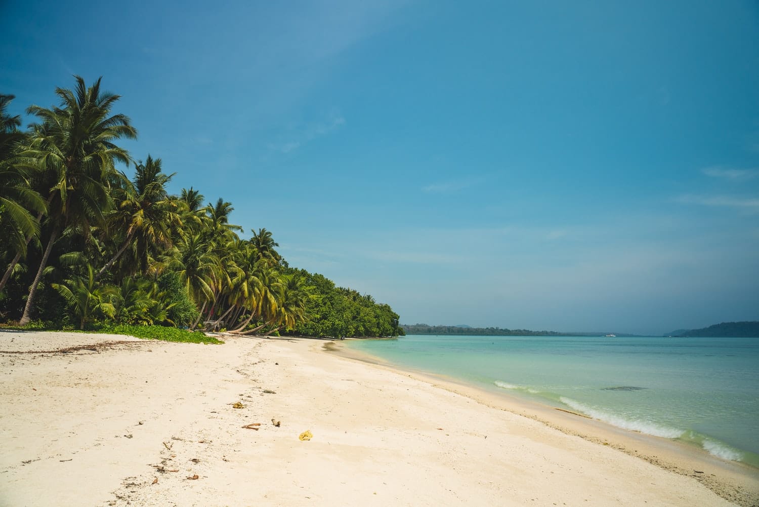 Cruise your way to Andaman