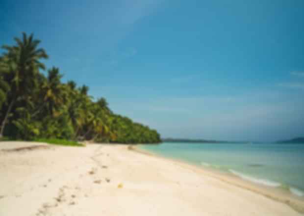 Cruise your way to Andaman