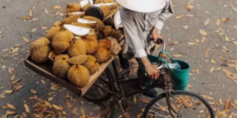 Salesman of Durian Fruit