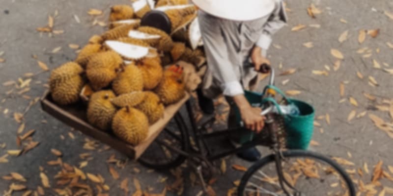 Salesman of Durian Fruit