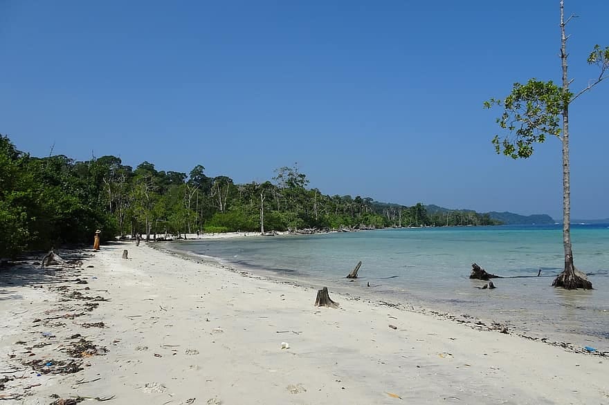 Havelock’s Beautiful Elephant Beach In Andaman And Nicobar