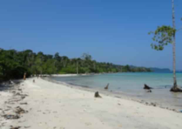 Havelock’s Beautiful Elephant Beach In Andaman And Nicobar
