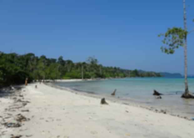 Havelock’s Beautiful Elephant Beach In Andaman And Nicobar