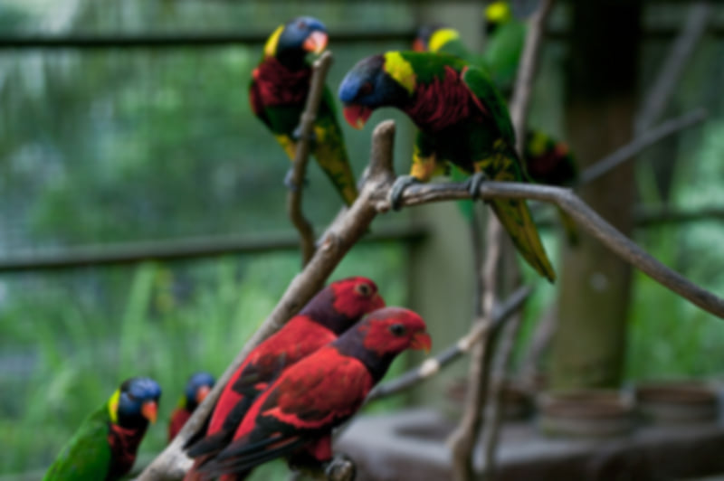 Top Romantic Honeymoon Experiences in Kuala Lumpur: Best Things to Do for Couples