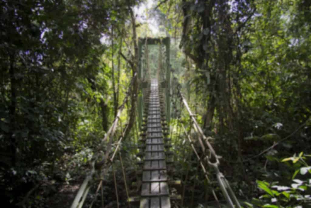 Virachey National Park – Trekking through Wildlife enthusiast’s paradise