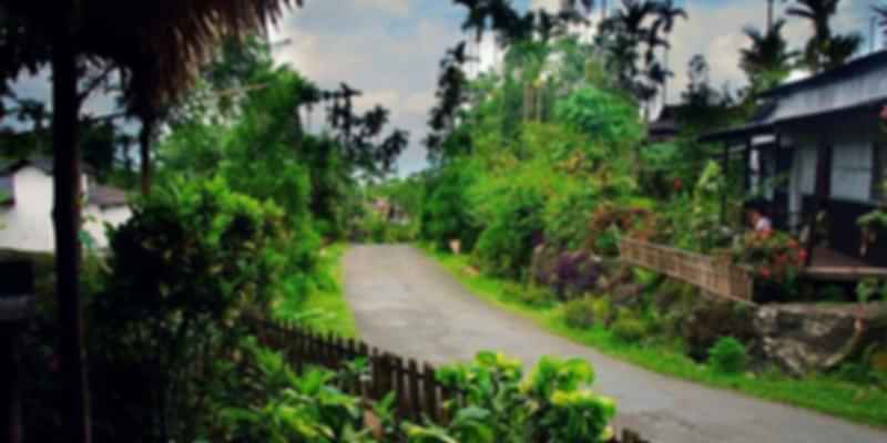 Mawlynnog Village Meghalaya