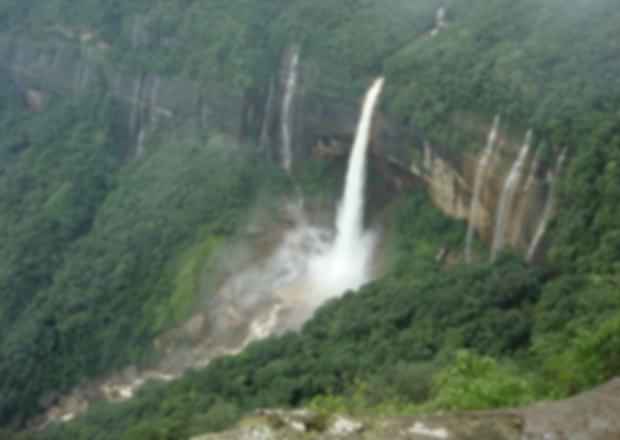 These rain forests in India are sure to leave the traveller mesmerised