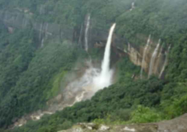 These rain forests in India are sure to leave the traveller mesmerised
