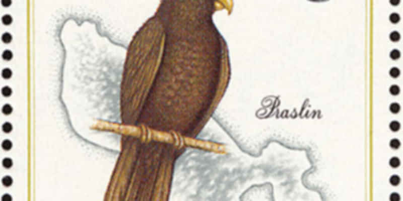 Seychelles Stamp of Black Parrot