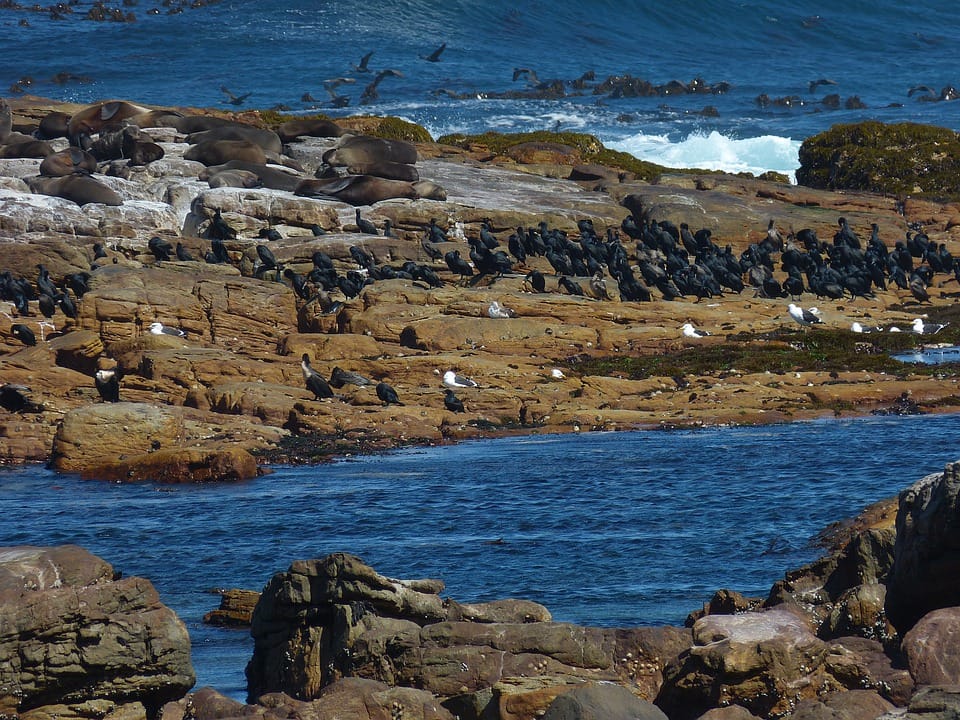 10 Historical Landmarks – A Must Visit When in South Africa