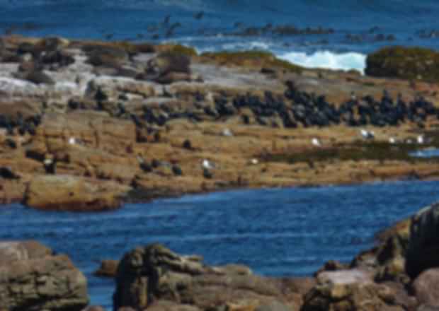 10 Historical Landmarks – A Must Visit When in South Africa