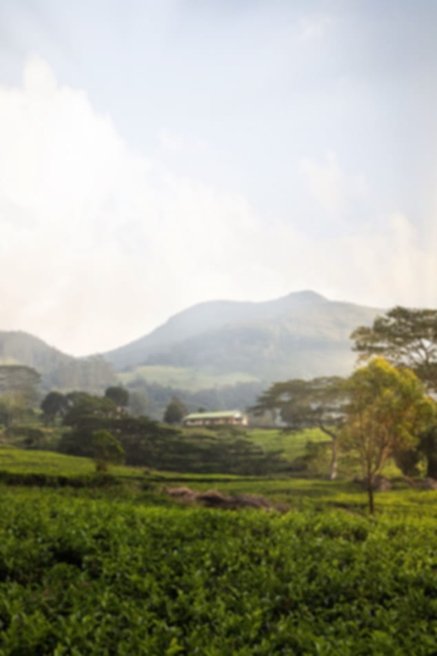A Perfect 5-day itinerary to Sri Lanka