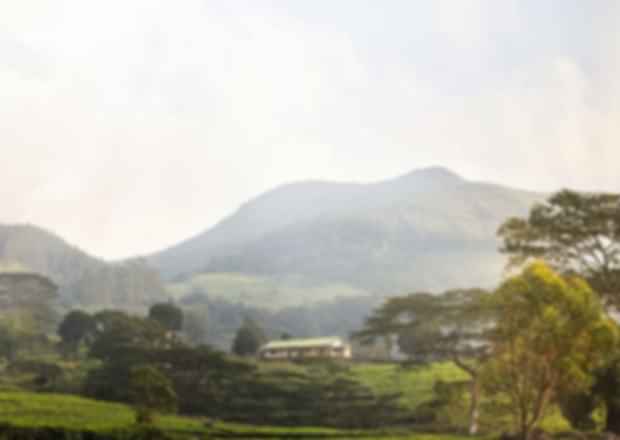 A Perfect 5-day itinerary to Sri Lanka