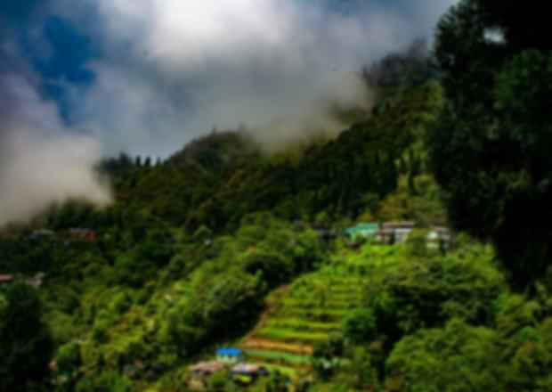 Best tourist places near Guwahati: The Ultimate Guide 2025