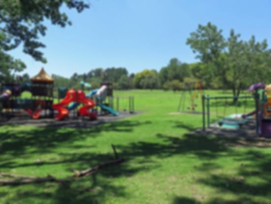 Delta Park in South Africa – The Big Green Lungs of Johannesburg