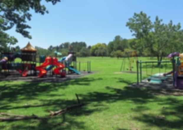 Delta Park in South Africa – The Big Green Lungs of Johannesburg