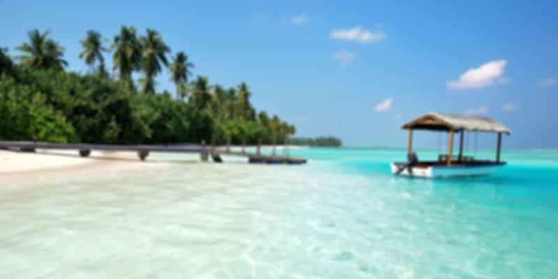 Maldives weather in January