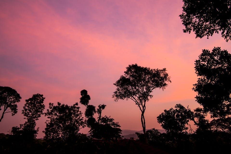 Bangalore To Coorg – A Spectacular Journey to the Hill Station!